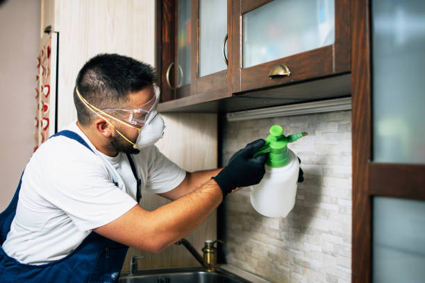Best Mosquito Control Services  in Eagle, CO