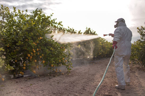 Best Pest Control Near Me in Eagle, CO