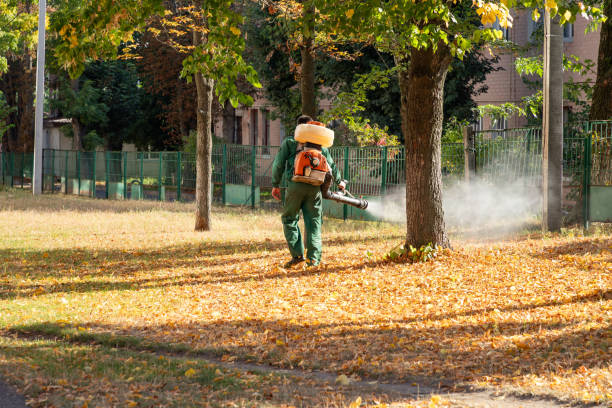 Best Local Pest Control Services  in Eagle, CO