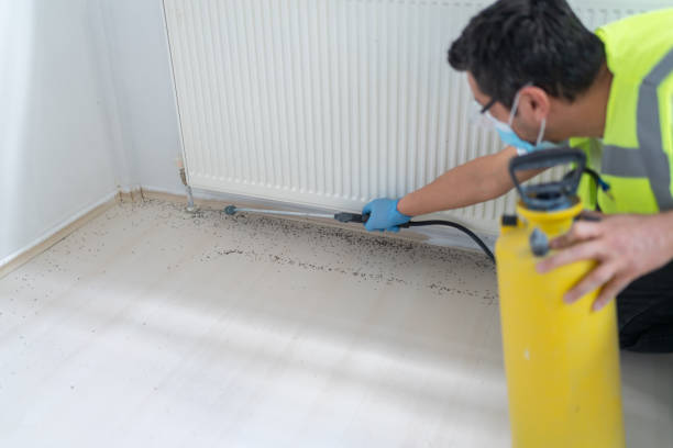Best Cockroach Control Services  in Eagle, CO